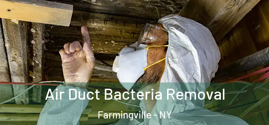  Air Duct Bacteria Removal Farmingville - NY