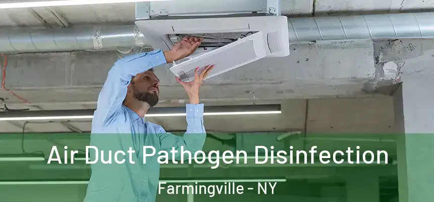 Air Duct Pathogen Disinfection Farmingville - NY