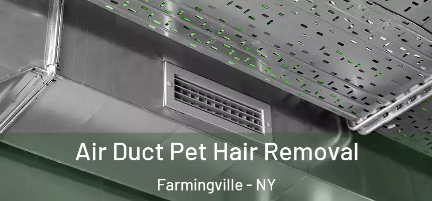Air Duct Pet Hair Removal Farmingville - NY