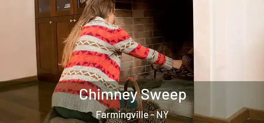 Chimney Sweep Farmingville - NY