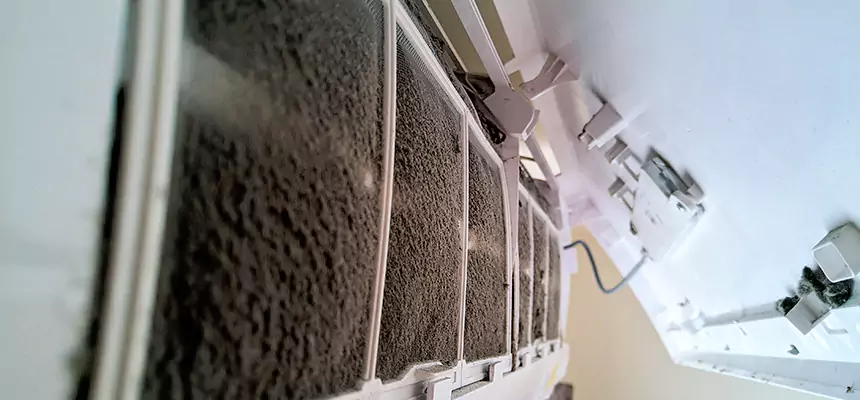 Preventive Air Duct Bacteria Removal in Farmingville