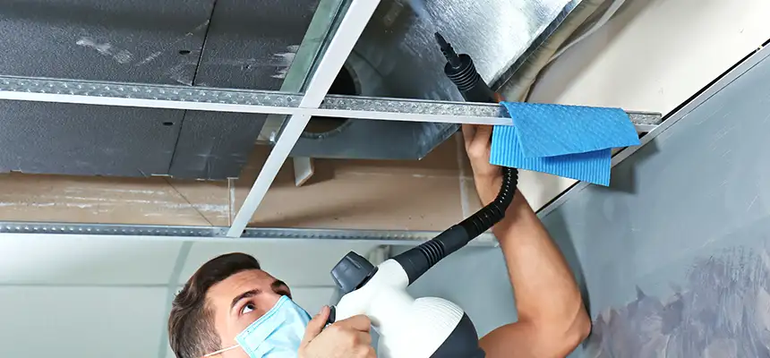 Our Air Duct Rodent Removal Services in Farmingville, NY