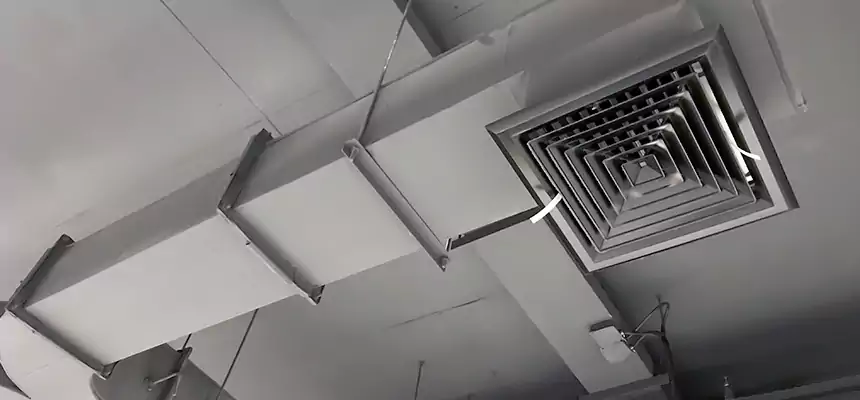 Restorative Allergy Relief Vent Cleaning – Coil, Blower & Housing Detail in Farmingville