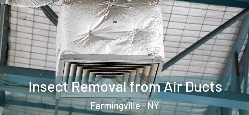 Insect Removal from Air Ducts Farmingville - NY