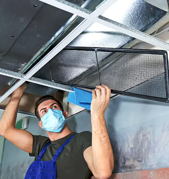 Professional Air Duct Pollen Cleaning in Farmingville, NY