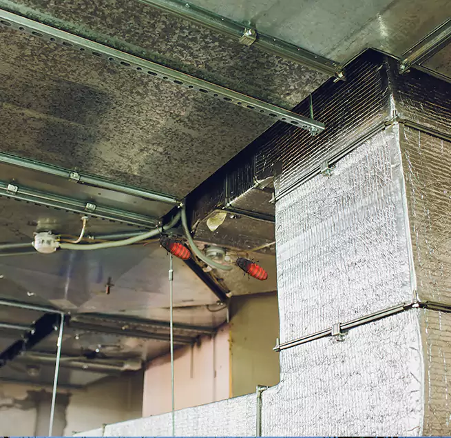 Why Homeowners & Businesses Trust Us Farmingville, NY?